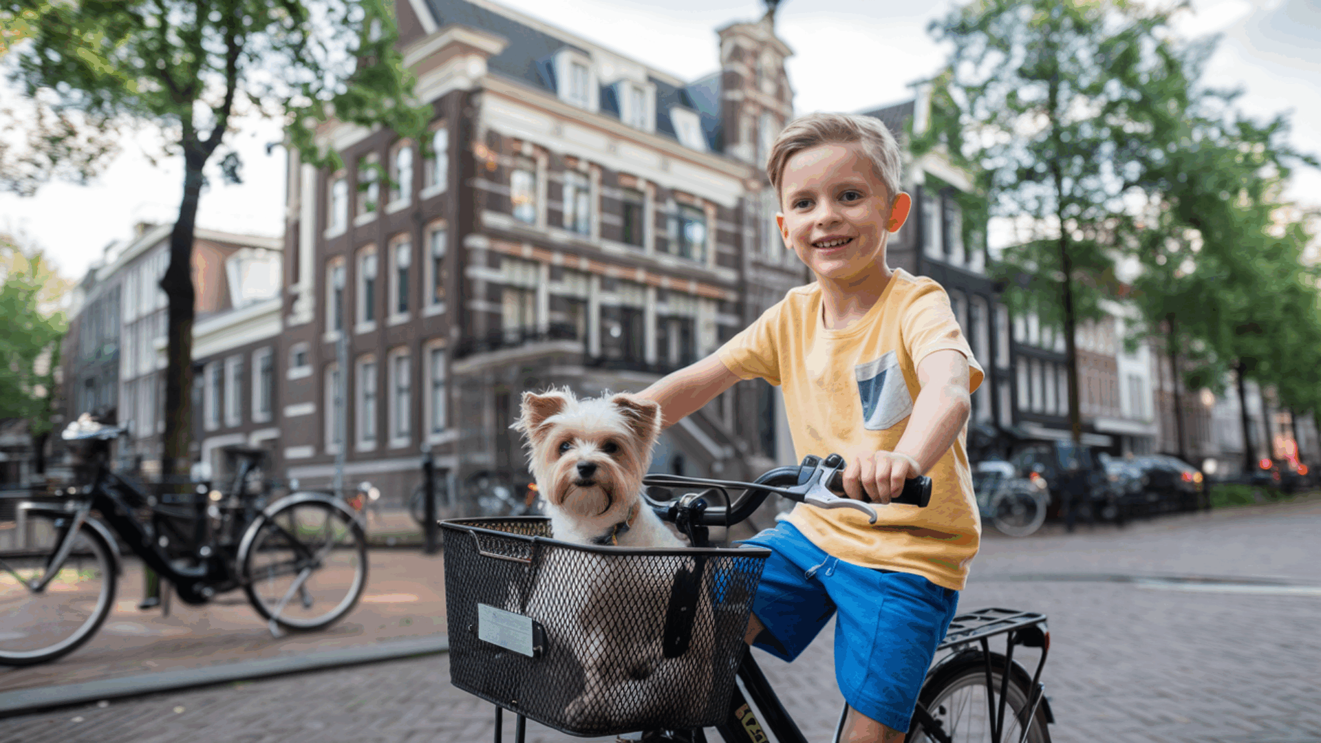 Beste Weg Met De Kinderen: Fun & Safe Activities in Amsterdam
