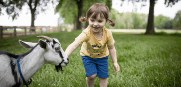 VeBON kamp kinderen Amsterdam